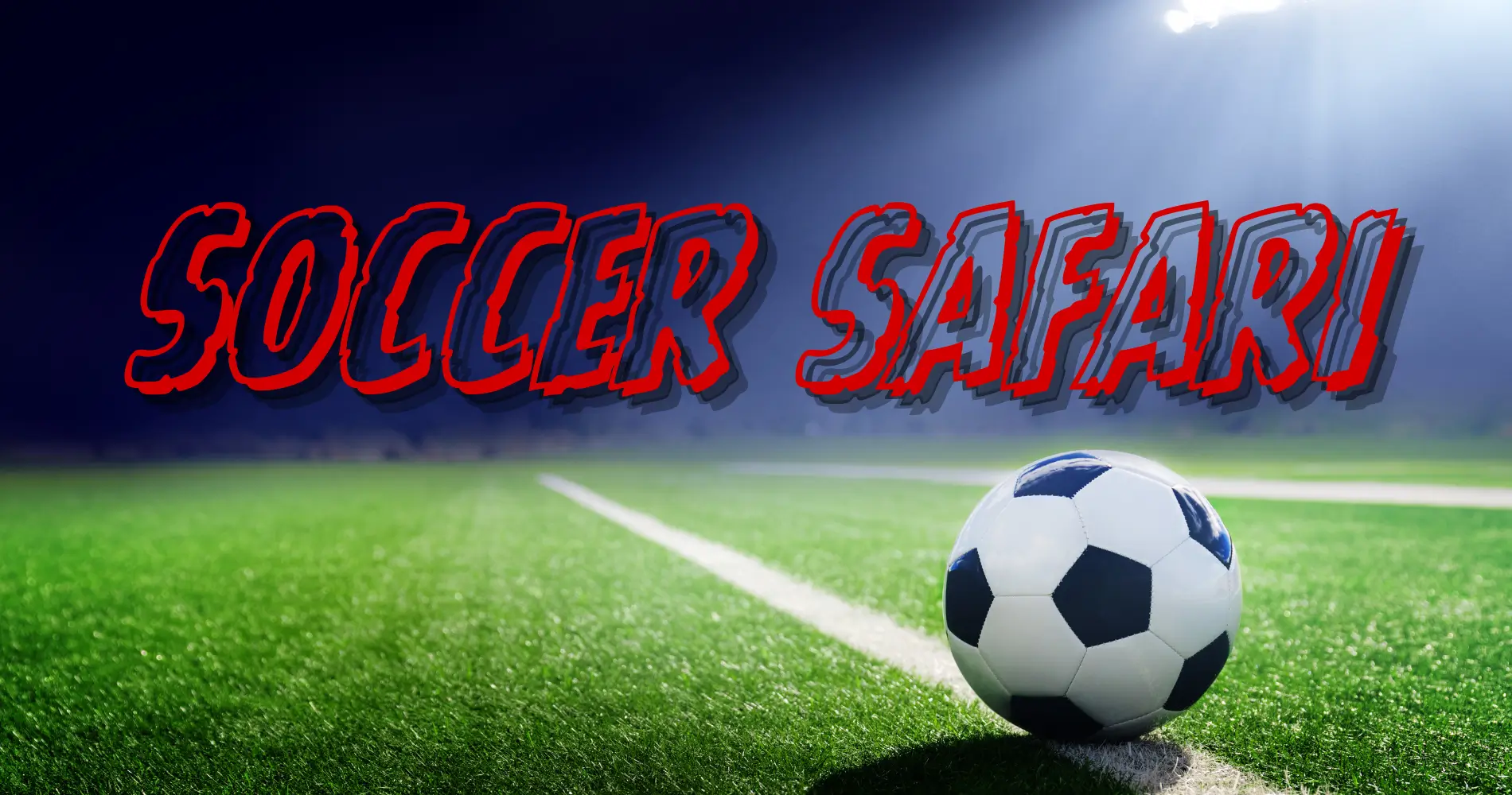 Soccer Safari